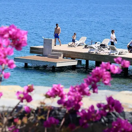 On The Coast Of The Aegean Sea فيلة بودروم