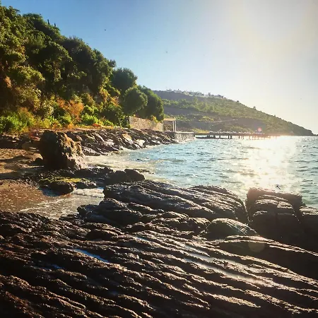 فيلة On The Coast Of The Aegean Sea